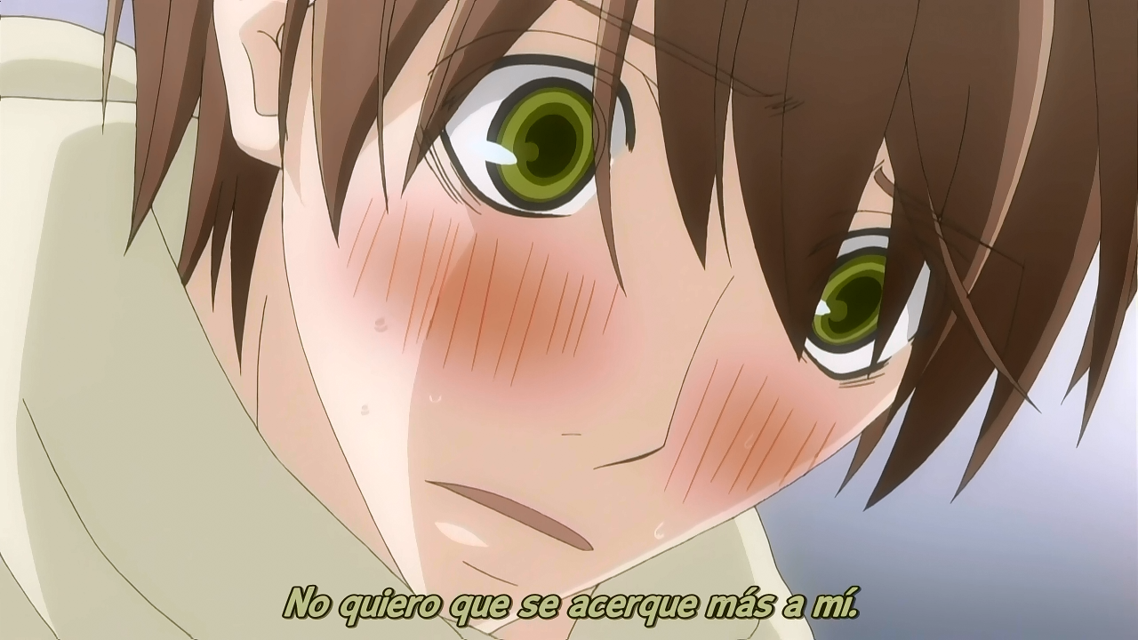 Sekaiichi Hatsukoi (Aino Fansub)